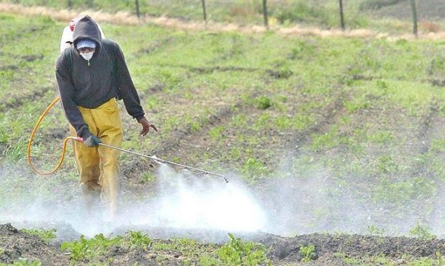 Elaboran 12 principios para el uso de agroquímicos, puntapié para una ley nacional