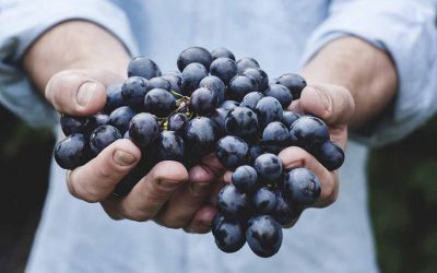 Programa Nacional de Promoción de Certificados Oficiales de Calidad en Alimentos Argentinos como forma de “Sumar Valor”