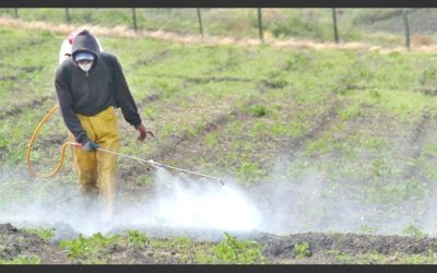 Argentina busca limitar la prohibición en el uso de agroquímicos que impuso la UE desde 2019