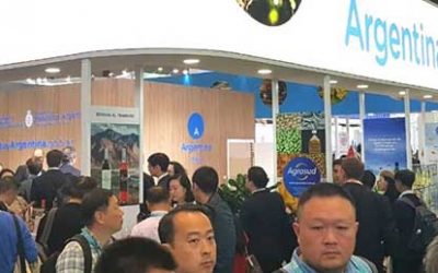 EXPOSICIÓN INTERNACIONAL DE IMPORTACIÓN DE CHINA 2019