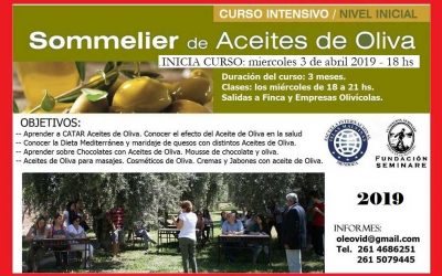 CURSO SOMMELIER DE ACEITES DE OLIVA