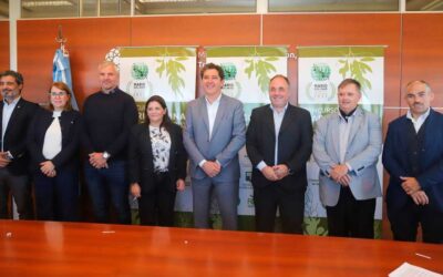 San Juan será sede del certamen que elegirá los mejores aceites de oliva del hemisferio sur