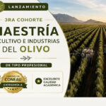 Maestría en cultivo e industrias del olivo
