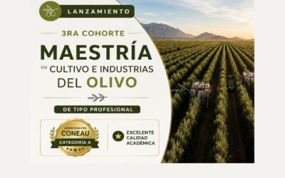 Maestría en cultivo e industrias del olivo