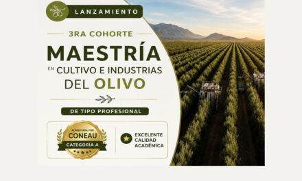 Maestría en cultivo e industrias del olivo